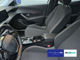 Peugeot 2008 bei Reisemobile.expert - Abbildung (9 / 15)