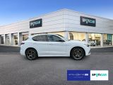 Alfa Romeo Stelvio bei Reisemobile.expert - Abbildung (4 / 15)