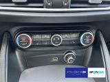 Alfa Romeo Stelvio bei Reisemobile.expert - Abbildung (14 / 15)
