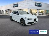 Alfa Romeo Stelvio bei Reisemobile.expert - Abbildung (5 / 15)