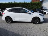 Ford Kuga bei Reisemobile.expert - Abbildung (6 / 15)