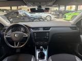 Skoda Octavia bei Reisemobile.expert - Abbildung (11 / 15)