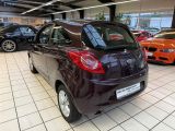 Ford Ka bei Reisemobile.expert - Abbildung (6 / 15)