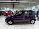 Fiat Panda bei Reisemobile.expert - Abbildung (5 / 15)