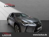 Lexus UX bei Reisemobile.expert - Abbildung (7 / 15)