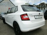 Skoda Fabia bei Reisemobile.expert - Abbildung (5 / 15)
