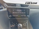 Skoda Superb bei Reisemobile.expert - Abbildung (8 / 15)