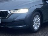 Skoda Octavia bei Reisemobile.expert - Abbildung (4 / 14)