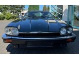 Jaguar XJS bei Reisemobile.expert - Abbildung (3 / 15)