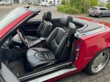 Mercedes-Benz SL 320 bei Reisemobile.expert - Abbildung (11 / 15)