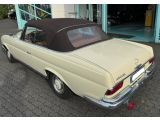 Mercedes-Benz 250 bei Reisemobile.expert - Abbildung (4 / 13)