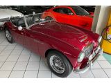 Austin Healey 100 bei Reisemobile.expert - Abbildung (3 / 15)