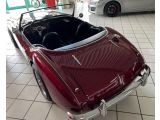 Austin Healey 100 bei Reisemobile.expert - Abbildung (8 / 15)