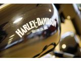 Harley-Davidson Fat Boy bei Reisemobile.expert - Abbildung (6 / 8)