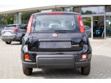 Fiat Panda bei Reisemobile.expert - Abbildung (5 / 15)