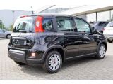 Fiat Panda bei Reisemobile.expert - Abbildung (6 / 15)