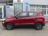 Ford EcoSport bei Reisemobile.expert - Abbildung (7 / 15)