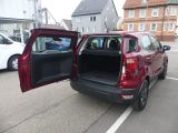 Ford EcoSport bei Reisemobile.expert - Abbildung (8 / 15)