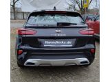 Kia XCeed bei Reisemobile.expert - Abbildung (3 / 15)