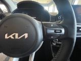 Kia Picanto bei Reisemobile.expert - Abbildung (11 / 15)
