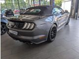 Ford Mustang bei Reisemobile.expert - Abbildung (2 / 15)