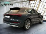 Audi e-tron bei Reisemobile.expert - Abbildung (3 / 15)