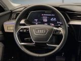 Audi e-tron bei Reisemobile.expert - Abbildung (9 / 15)