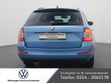 Skoda Octavia bei Reisemobile.expert - Abbildung (4 / 15)