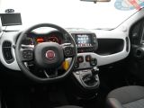 Fiat Panda bei Reisemobile.expert - Abbildung (5 / 14)