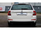 Skoda Octavia bei Reisemobile.expert - Abbildung (5 / 15)