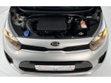 Kia Picanto bei Reisemobile.expert - Abbildung (4 / 15)