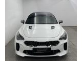 Kia Stinger bei Reisemobile.expert - Abbildung (6 / 10)