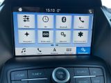 Ford C-MAX bei Reisemobile.expert - Abbildung (12 / 15)