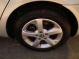 Skoda Octavia bei Reisemobile.expert - Abbildung (13 / 13)