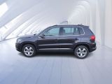 VW Tiguan bei Reisemobile.expert - Abbildung (2 / 15)