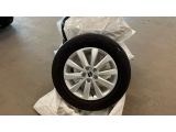 Seat Ibiza bei Reisemobile.expert - Abbildung (9 / 11)