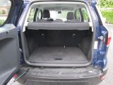 Ford EcoSport bei Reisemobile.expert - Abbildung (7 / 14)