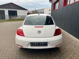 VW Beetle bei Reisemobile.expert - Abbildung (5 / 11)