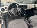 VW Beetle bei Reisemobile.expert - Abbildung (7 / 11)
