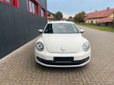 VW Beetle bei Reisemobile.expert - Abbildung (2 / 11)