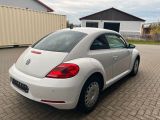 VW Beetle bei Reisemobile.expert - Abbildung (4 / 11)