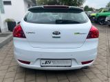 Kia Ceed bei Reisemobile.expert - Abbildung (5 / 15)