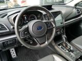 Subaru XV bei Reisemobile.expert - Abbildung (11 / 15)