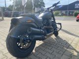 Harley-Davidson Softail bei Reisemobile.expert - Abbildung (4 / 14)