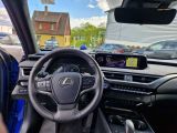 Lexus UX bei Reisemobile.expert - Abbildung (11 / 15)