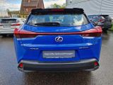 Lexus UX bei Reisemobile.expert - Abbildung (4 / 15)