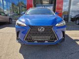 Lexus NX bei Reisemobile.expert - Abbildung (8 / 15)