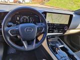 Lexus NX bei Reisemobile.expert - Abbildung (10 / 15)