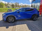 Lexus NX bei Reisemobile.expert - Abbildung (2 / 15)