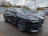 Lexus NX bei Reisemobile.expert - Abbildung (7 / 15)